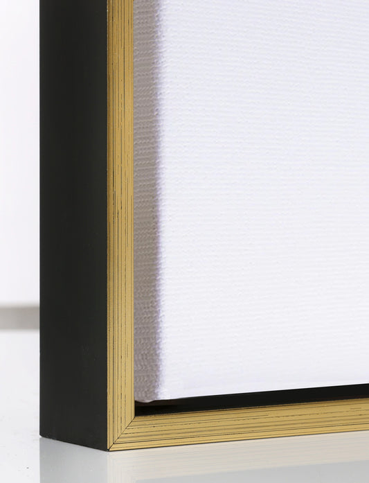 Canvas Float Frame-Gold & Black
