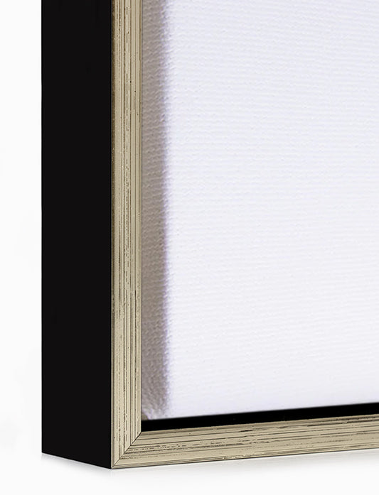 Canvas Float Frame-Black & Silver
