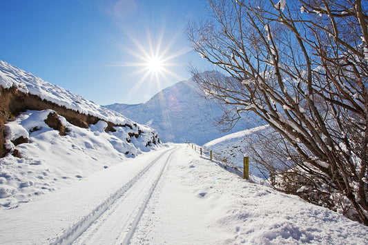 Sunlit Snowy Trail North Canterbury