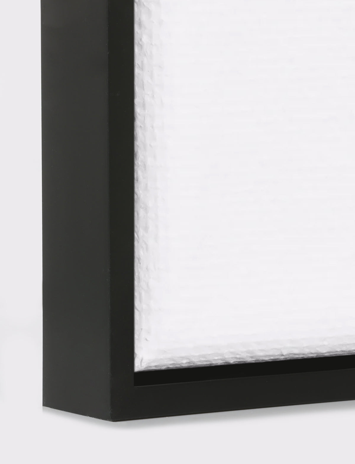 Canvas Float Black Frame