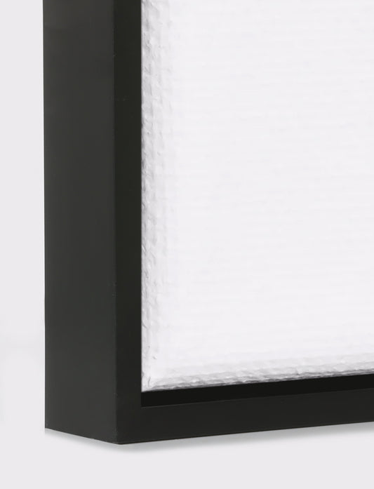 Canvas Float Black Frame
